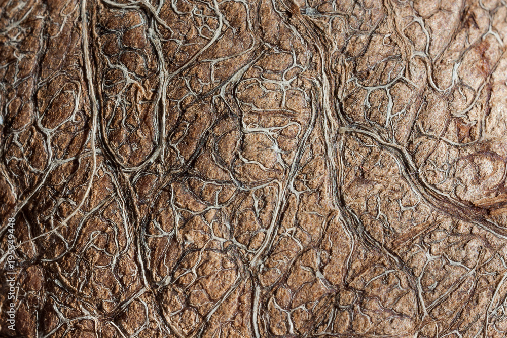 Natural abstract coconut texture dark wallpaper Natural abstract coconut texture dark wallpaper