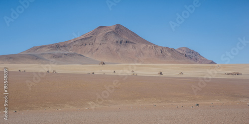 Panoramic view over the Salvador Dali Desert in Eduardo Avaroa Andean Fauna National Reserve  Bolivia     South America