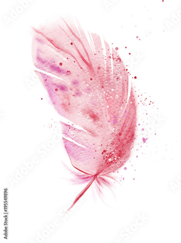 Pink flamingo watercolor feather.