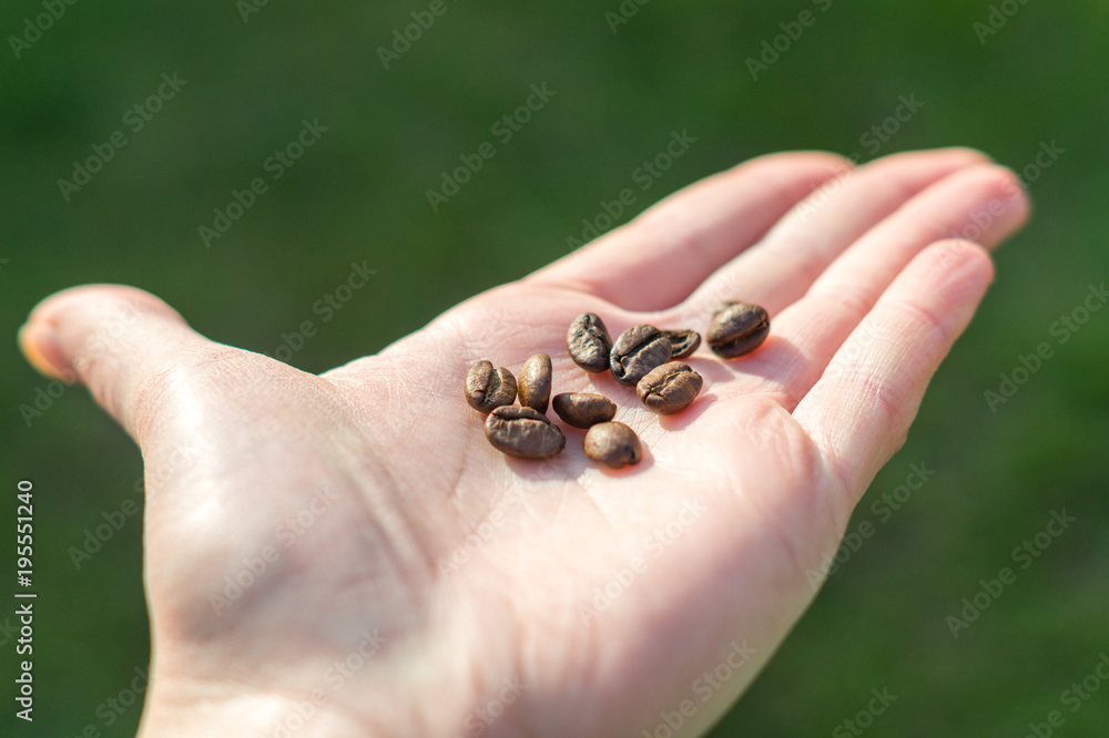 Obraz premium Woman holding coffee beans