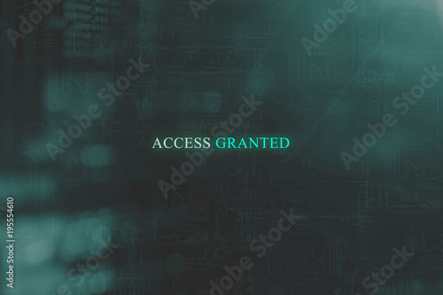 Access granted to server system technology