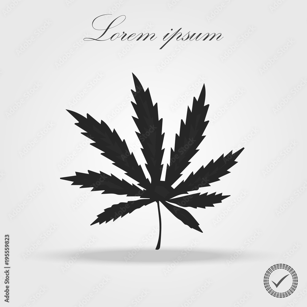 Marijuana leaf icon or cannabis icon, vector illustration. Marijuana leaf icon or cannabis icon, vector illustration.