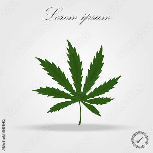 Marijuana  Cannabis leaf icon isolated vector illustration