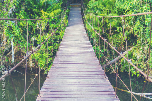 wooden bridge to the forest...