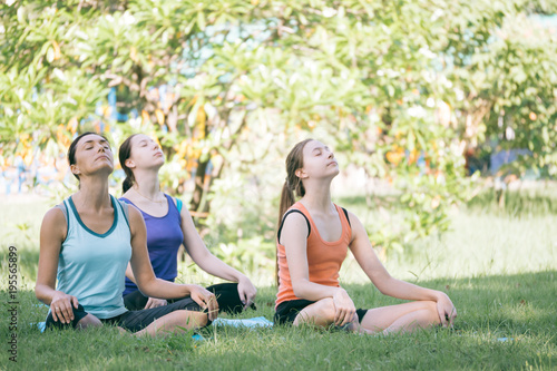 Group of women doing yoga exercises in the park. Concept of healthy lifestyle.