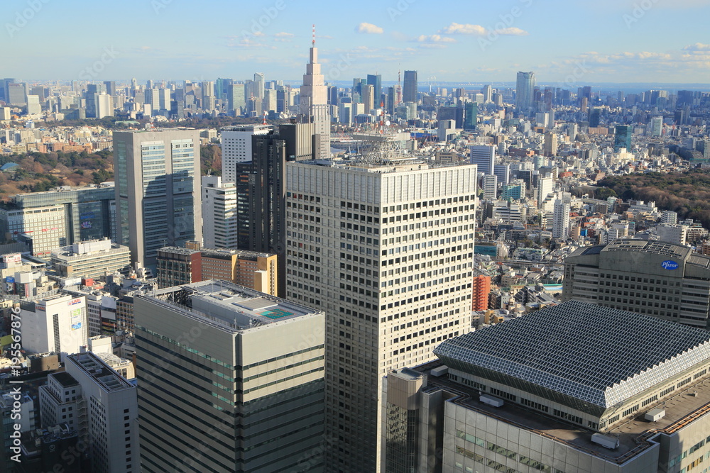 新宿より望む東京のビル風景