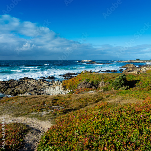Coastline near Pebble beach, Pebble Beach, Monterey Peninsula, California, USA