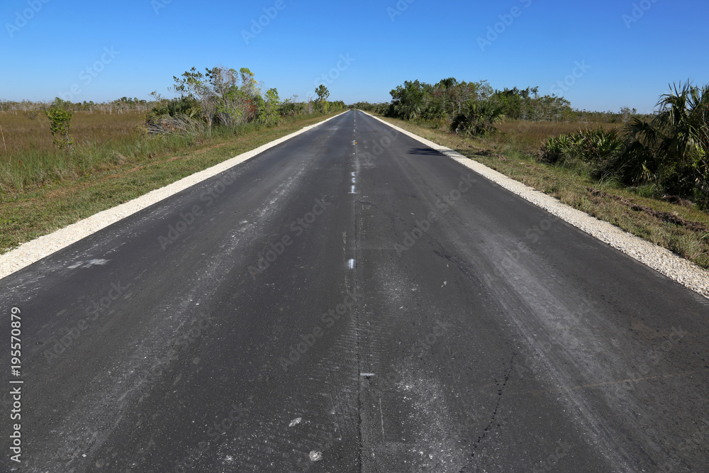 The Main Park Road running through Everglades National Park, Florida. The Main Park Road running through Everglades National Park, Florida.