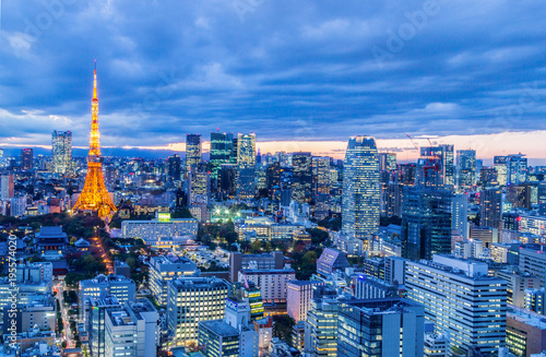 Canvas Print Tokyo city view with Tokyo Tower at night