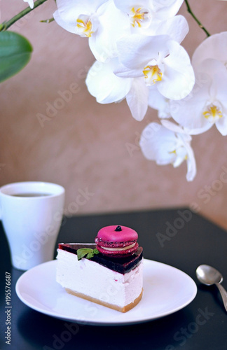 Wallpaper Mural Cheese cake slice. Slice of cheese cake on white plate. Homemade cheese cake slice with pink macaroon for dessert. Healthy organic summer dessert pie cheese cake slice. Torontodigital.ca