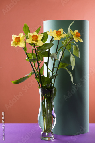 Fototapeta Naklejka Na Ścianę i Meble -  Bouquet of daffodils in a glass vase on a colored background