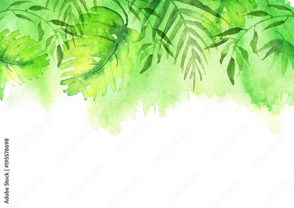 Watercolor abstract background, pattern, postcard, card, label. green spot,  splash of paint, blot, divorce, color. Branches, green leaves, fern, palm,  mint and others. With a place for writing. Stock Illustration | Adobe