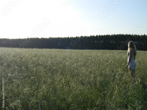 sunny meadow in the forest © Ulyadarov