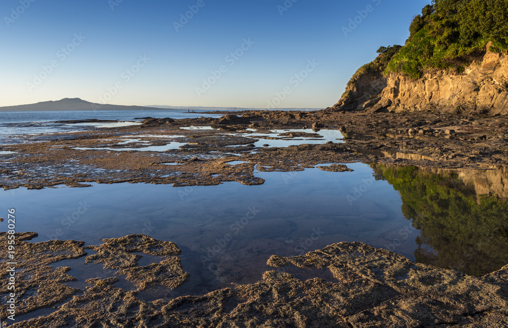 Landscape Scenery of Rocky Part at Campbells Bay Beach Auckland, New Zealand