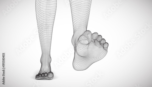 Illustration of a vector of human feet walking