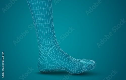 3d illustration of a vector of human feet walking along