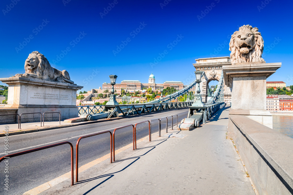 Fototapeta premium Budapest, Hungary - Chain Bridge