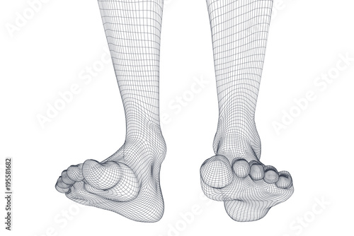 Illustration of a vector of human feet walking