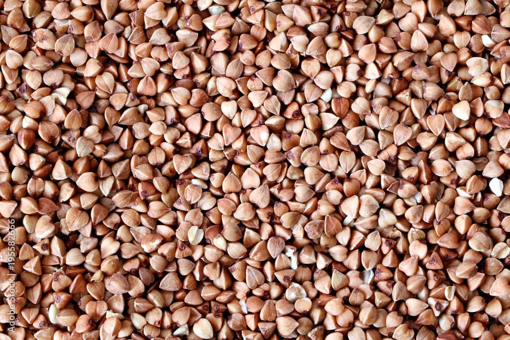Background, texture, the rump. Buckwheat. Useful properties of buckwheat. Garnish. Ingredient, product, cook. Brown. Agribusiness, crop, organic farming. Dietary product. Background, texture, the rump. Buckwheat. Useful properties of buckwheat. Garnish. Ingredient, product, cook. Brown. Agribusiness, crop, organic farming. Dietary product.