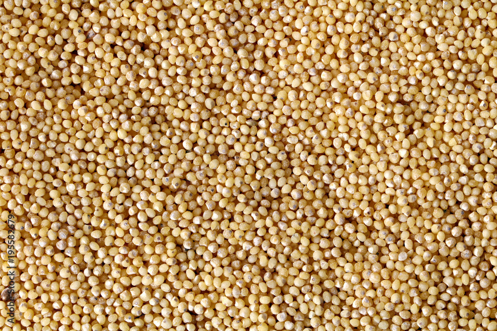 Yellow grain millet as a texture or background Yellow grain millet as a texture or background