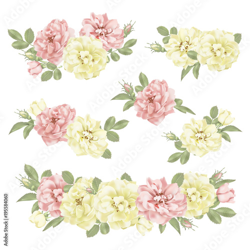 Realistic vector pink rose set. 3d roses