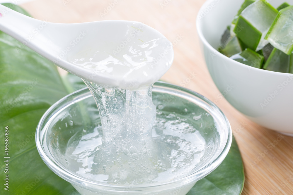 Extract of aloe vera plant. Fresh aloe vera leaves with aloe vera juice Extract of aloe vera plant. Fresh aloe vera leaves with aloe vera juice