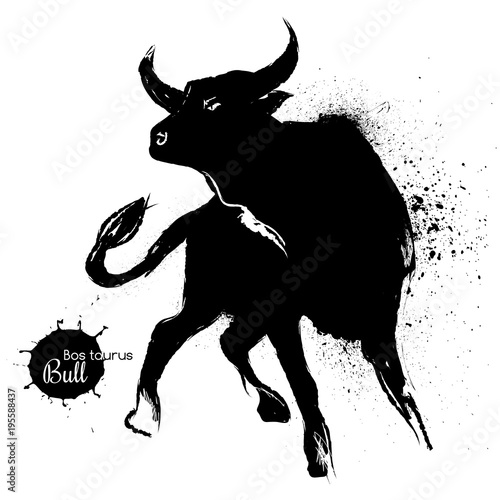 Bull graphic black and white drawing