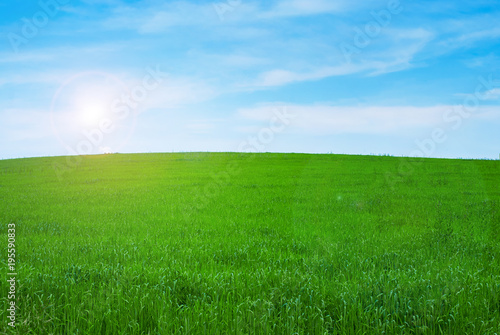 Green field and blue sky with clouds and sun