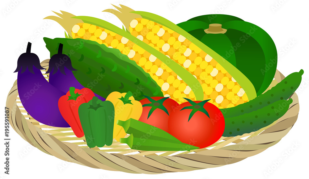 ザル盛り合わせ 夏の野菜 Stock Illustration Adobe Stock