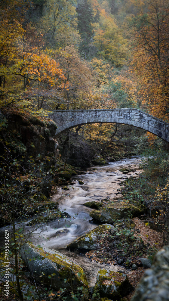 Harz Harz