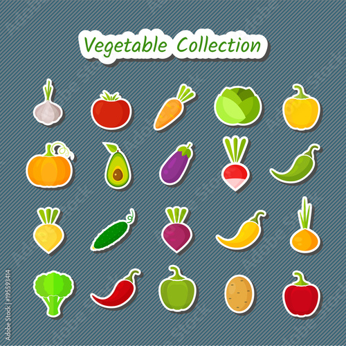 Fototapeta Naklejka Na Ścianę i Meble -  Cute design patches vegetable icon set. Vector illustration with sticker symbol of onion, eggplant, cabbage, pepper and other vegetables in fresh colors for kid healthy diet nutrition banner.