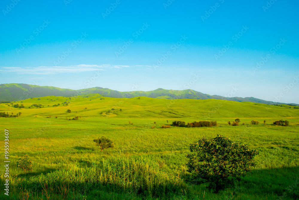 Green hills on a sunny day in Primorye, Russia