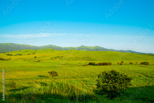Green hills on a sunny day in Primorye  Russia
