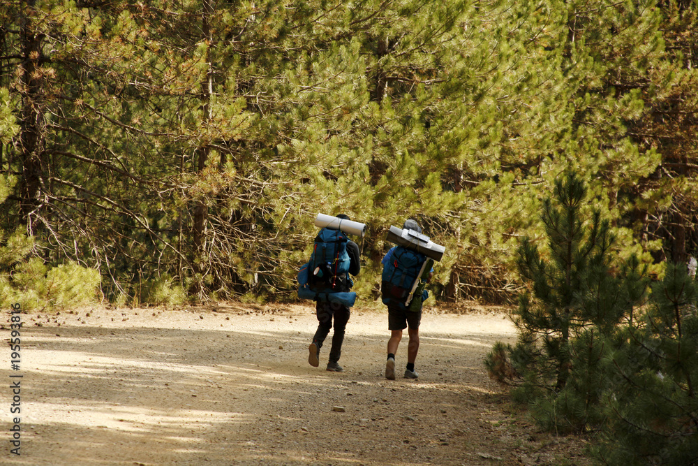 Obraz premium Hiking 