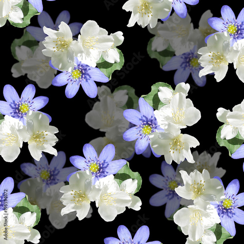 Beautiful floral background of jasmine and liverworts  © Ann-Mary