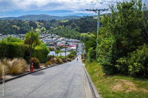Baldwin street - world's steepest street, Dundein, New Zealand