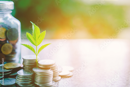 Plant growing from coins ou...