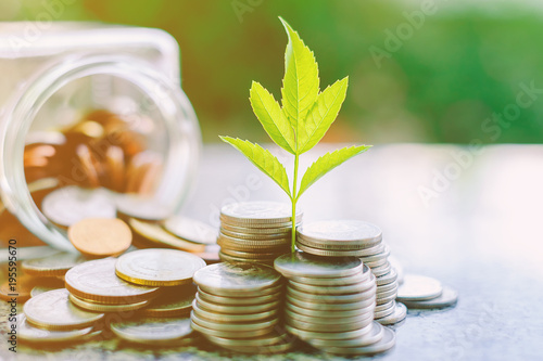 Plant growing from coins ou...