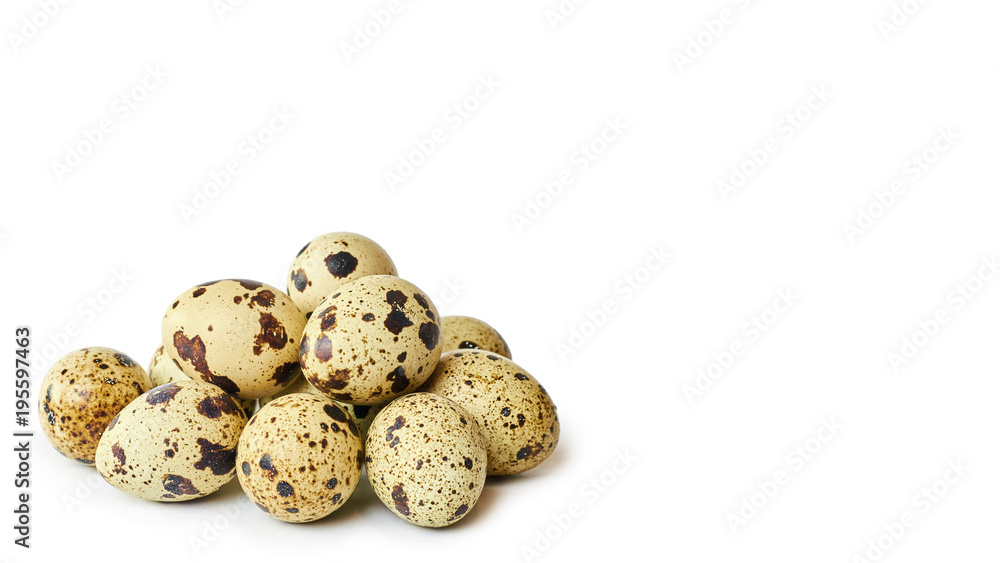 Raw and fresh Quail eggs. Isolated on a white background. copy space, template