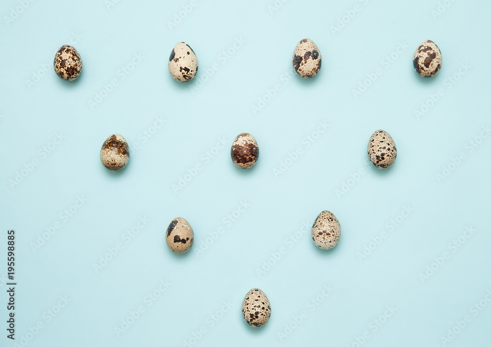 Quail eggs on light blue background.
Quail eggs on light blue background.