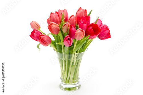 Fototapeta Naklejka Na Ścianę i Meble -  Rote Tulpen