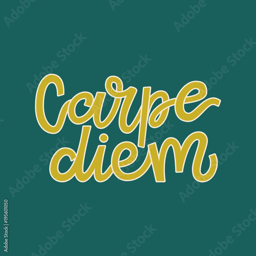 Carpe diem hand lettering quote illustration with decorative elements. Vector template for wall art, poster, t-shirt, greeting card design.