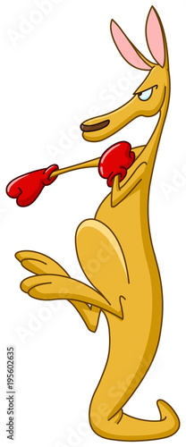 Boxing kangaroo