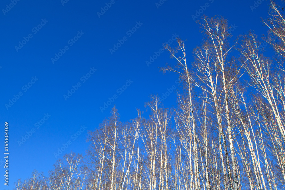 blue sky blue sky