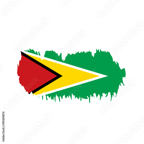 Guyana flag  vector illustration
