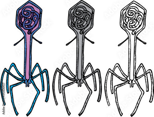 The decorative bacteriophages