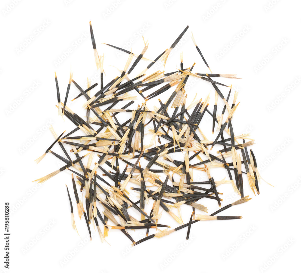 French marigold seeds French marigold seeds