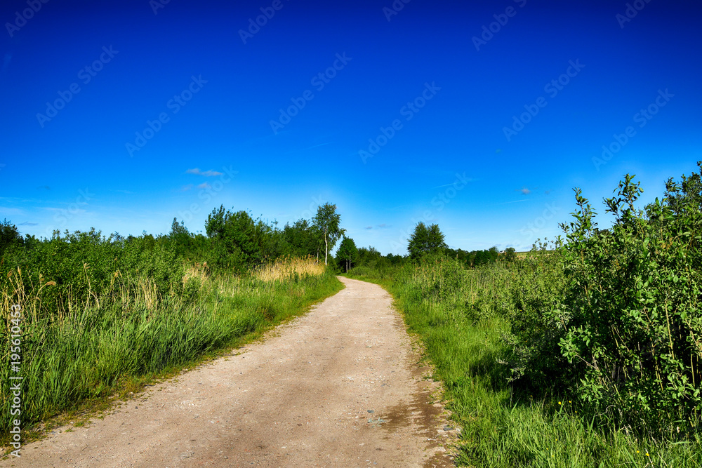 picturesque spring landscape with blue sky and green fields