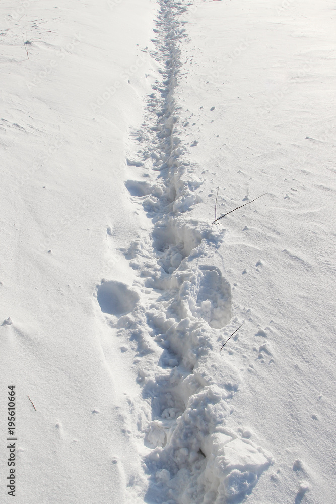 A narrow trodden pathway in the deep snow A narrow trodden pathway in the deep snow