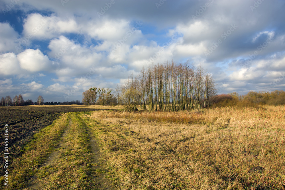 Plowed field, country road, meadow and copse Plowed field, country road, meadow and copse